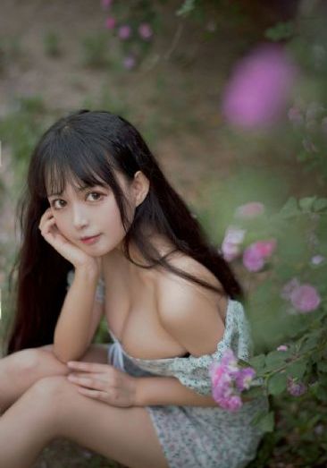 穷追不舍
