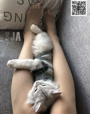 斗罗大陆免费高清观看