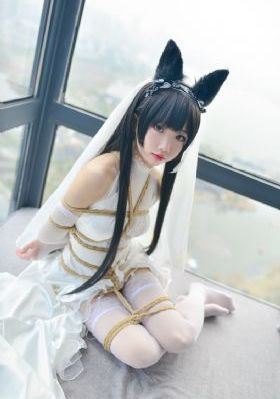 肉蒲团 高清
